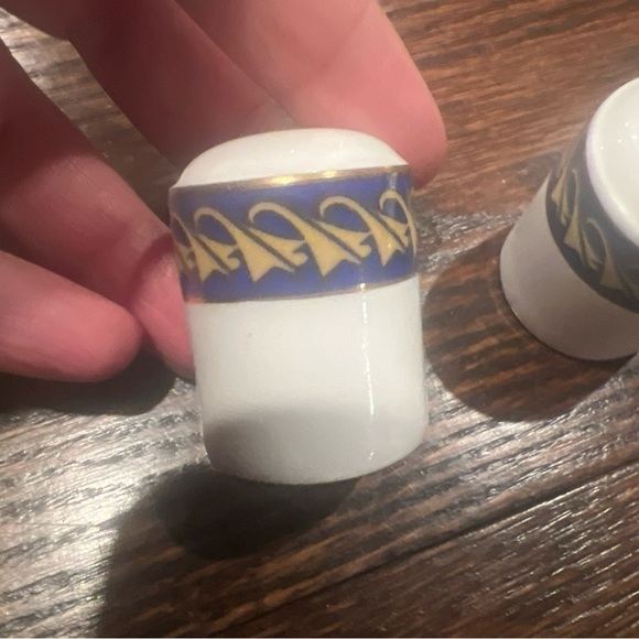 Concorde Jet Logo Royal Doulton Tableware LimitedSalt  and Pepper Shakers pots - Picture 3 of 4